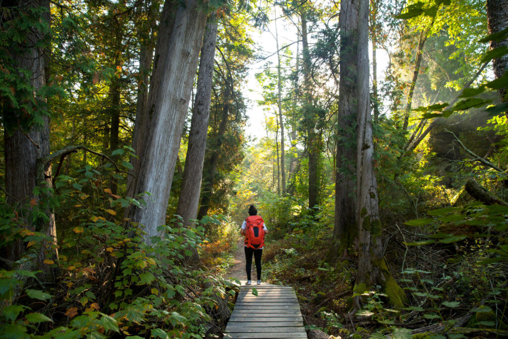 Person hiking in the woods with their backpack.